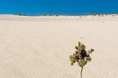 Fuerteventura : dunes, côte et tradition du nord