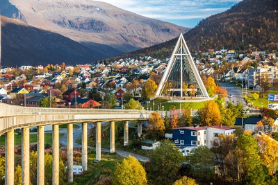 Tromsø city tour et Centre Polaria